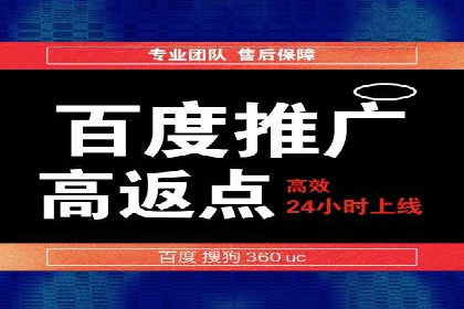实战派经验分享：百度竞价代理成功案例揭秘